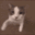 Catkiss Catkiss